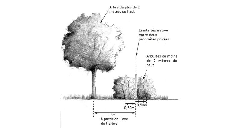 Reglementation-3.jpg