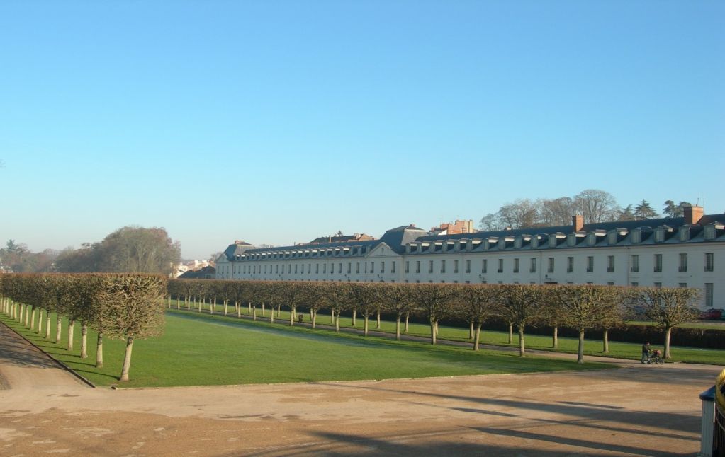 Taille_architecturee_arbres_ile_de_france.jpg