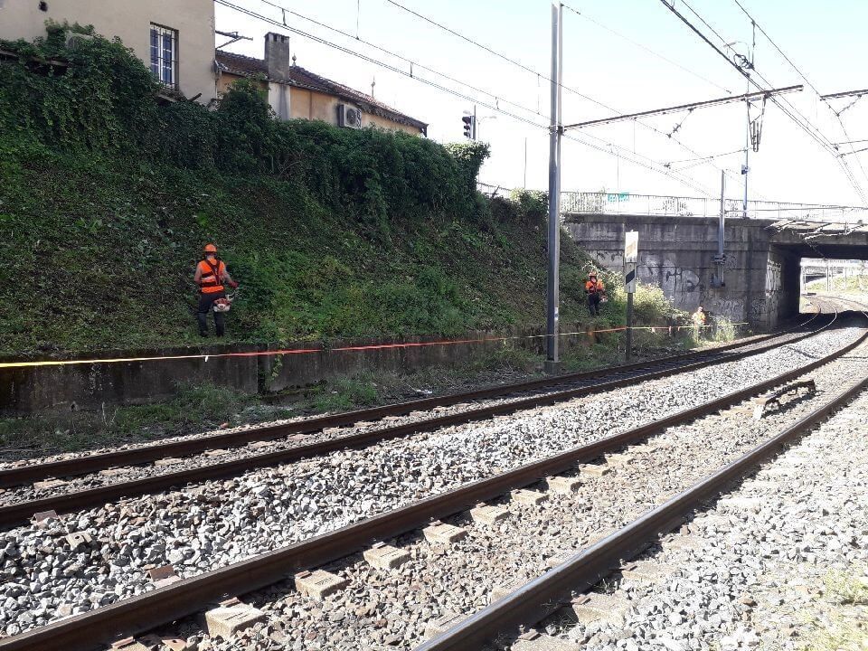 Agence de Lyon - Maîtrise de la végétation aux abords des voies SNCF - Vallée du Rhône.jpg