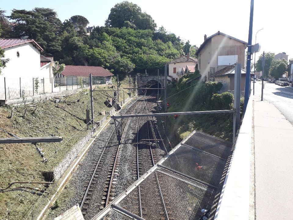 Agence de Lyon - Maîtrise de la végétation aux abords des voies SNCF - Vallée du Rhône2.jpg