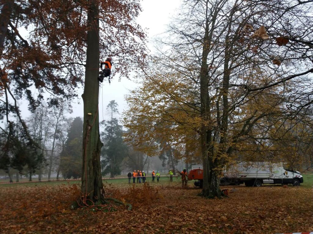 SEM - Unep, Abattage chateau Rambouillet, 1.jpg