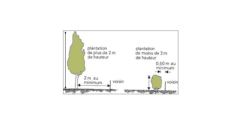 Arbres et voisinage réglementation.JPG