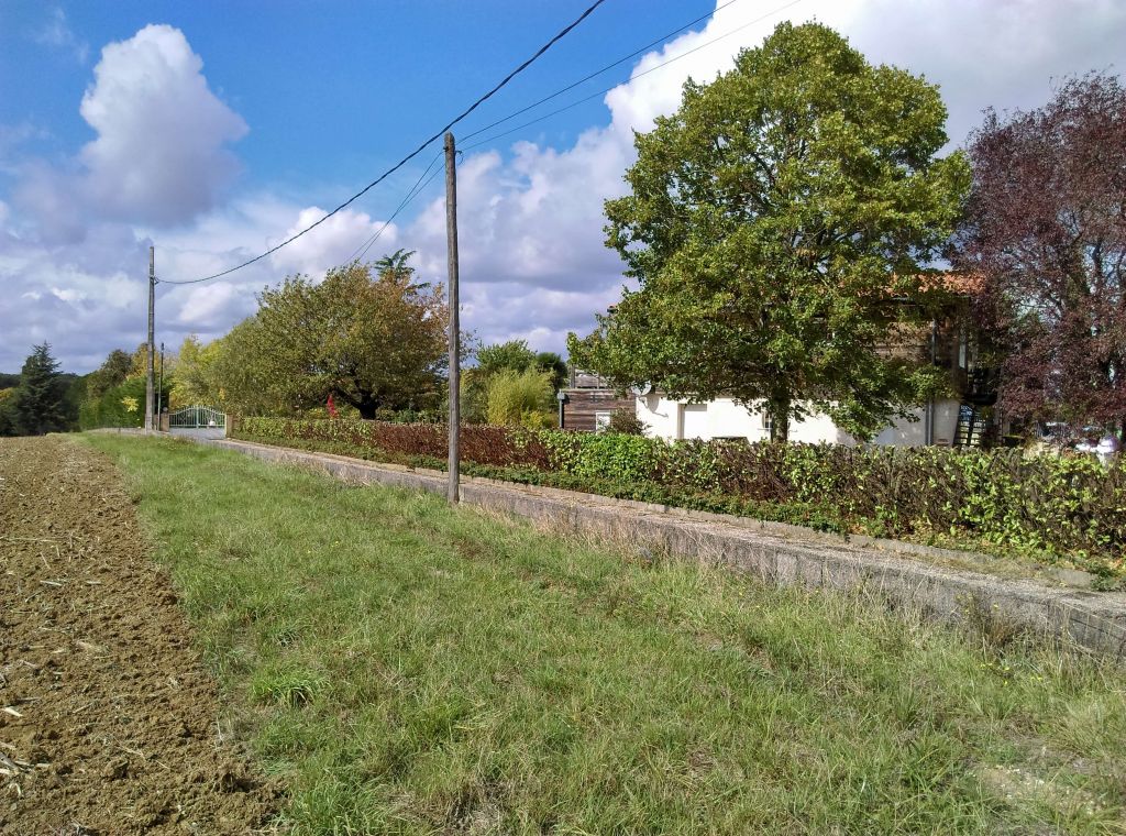 Toulouse, Taille de haie, Gragnague, Après.jpg