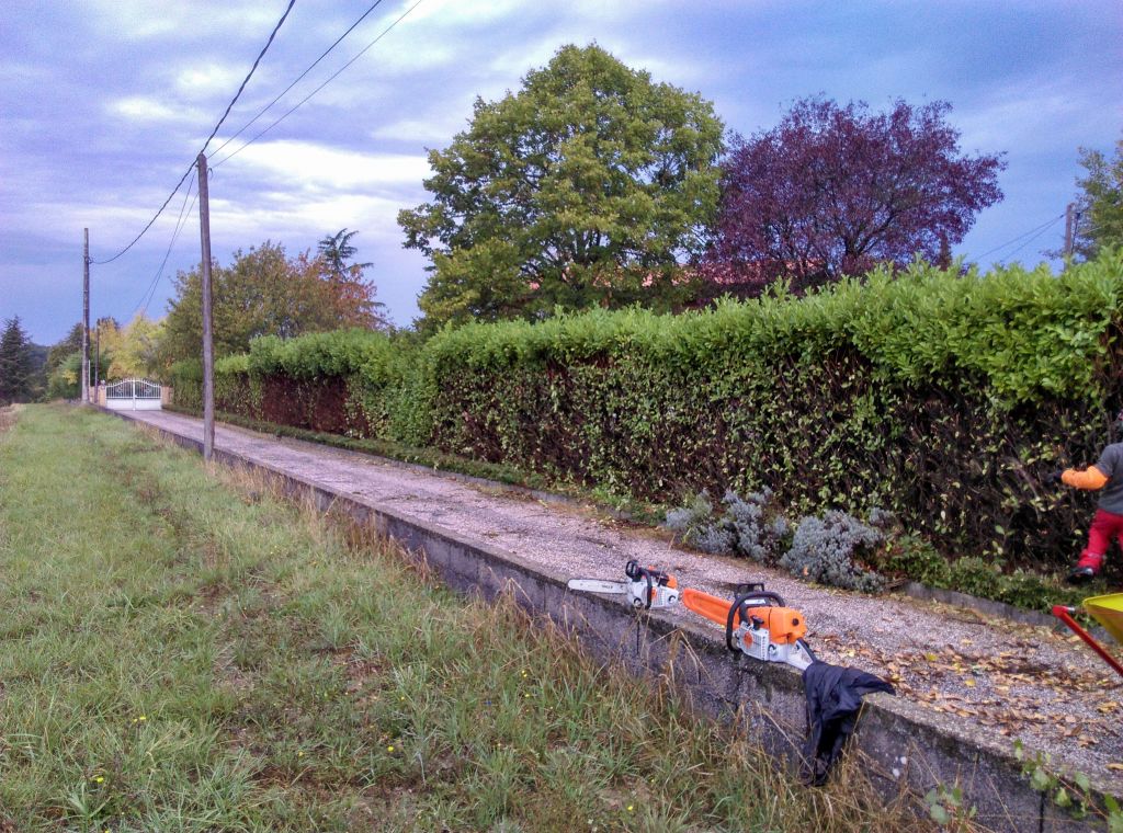 Toulouse, Taille de haie, Gragnague, Avant.jpg