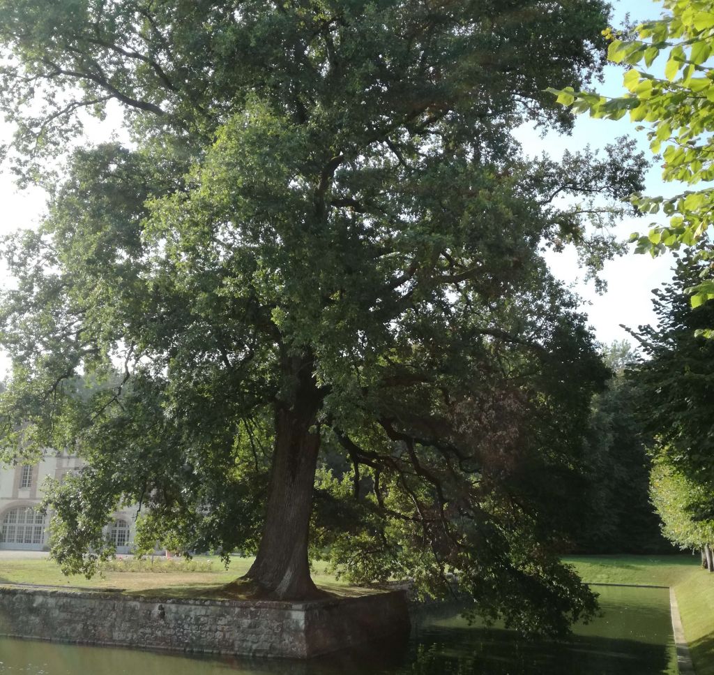 Sens, Chateau Bazoche, avant.jpg