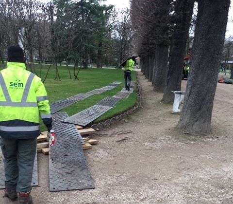 SEM, Taille architecturée, Jardin du Luxembourg, Précautions pelouses.JPG