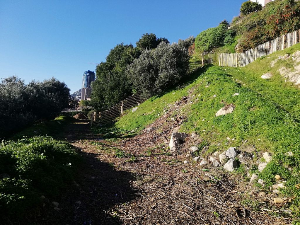 Nice, Défrichage et ganivelle, Roquebrune Cap Martin, 3.jpg