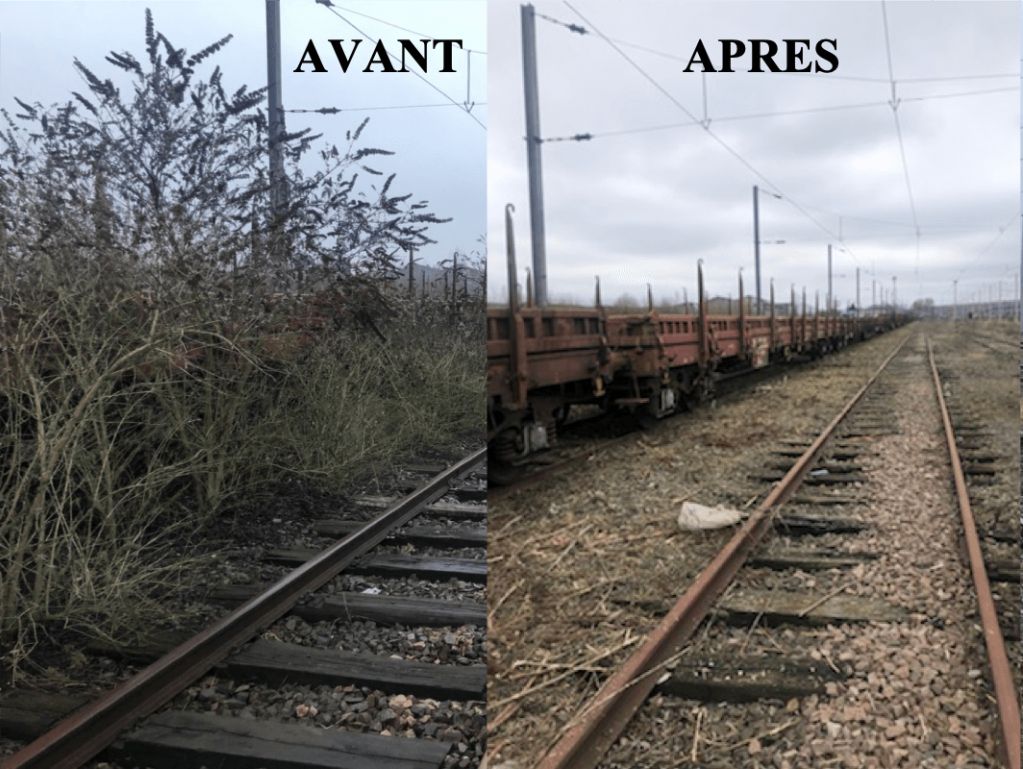 Saint-Lô, Mise à blanc voies de garage, Douai.png