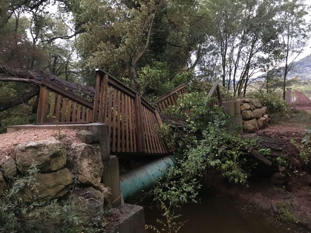 Toulon, Intervention d'urgence peuplier déraciné sur pacerelle, Cannet-des-Maures, AVANT.JPG