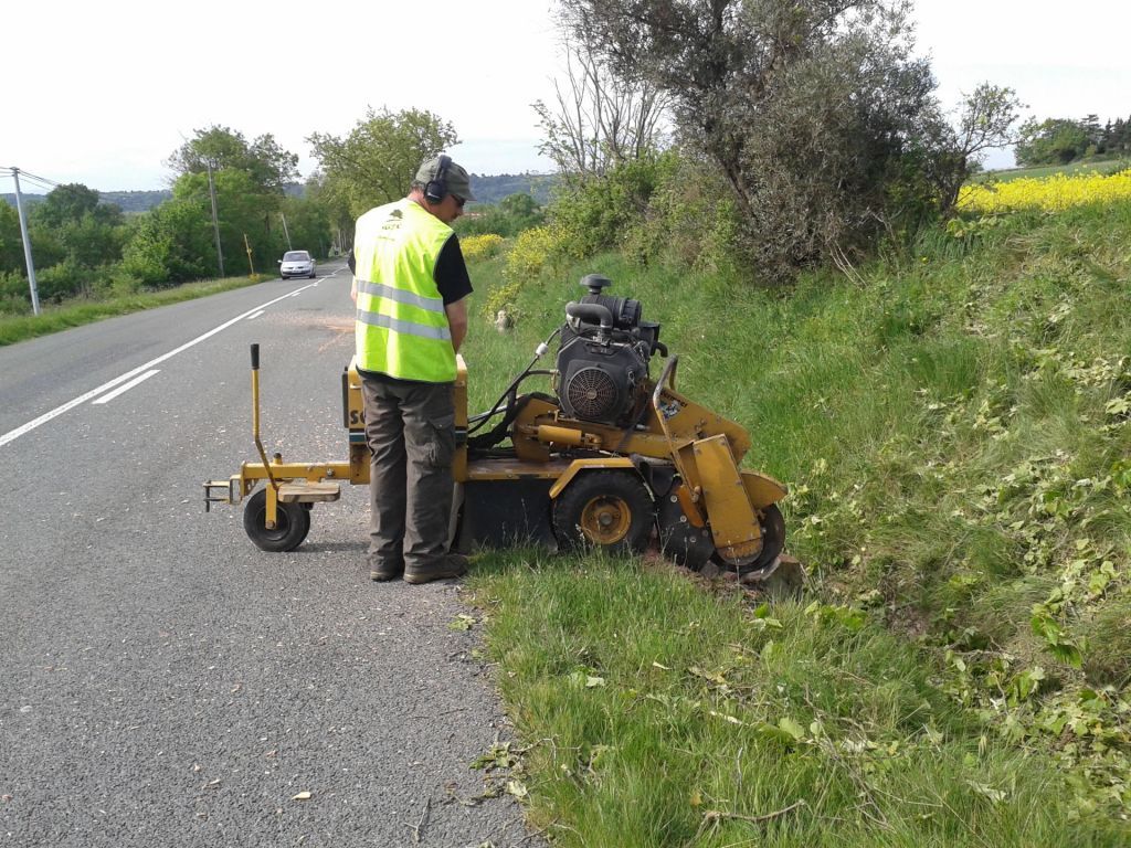 Rabottage de souches SERPE.jpg