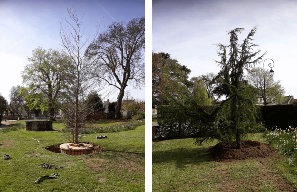 SEM, Plantation gros arbres, Mairie de Plaisir, 2.png