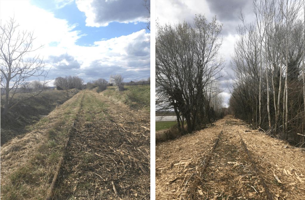 Défrichement voie verte entre Uzes et Vers-Pont-du-Gard, APRES.png