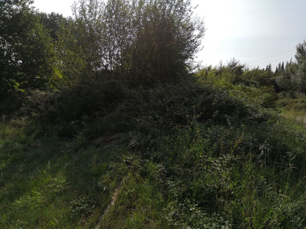 Montpellier, Défrichement voie verte entre Uzes et Vers-Pont-du-Gard, AVANT.jpeg