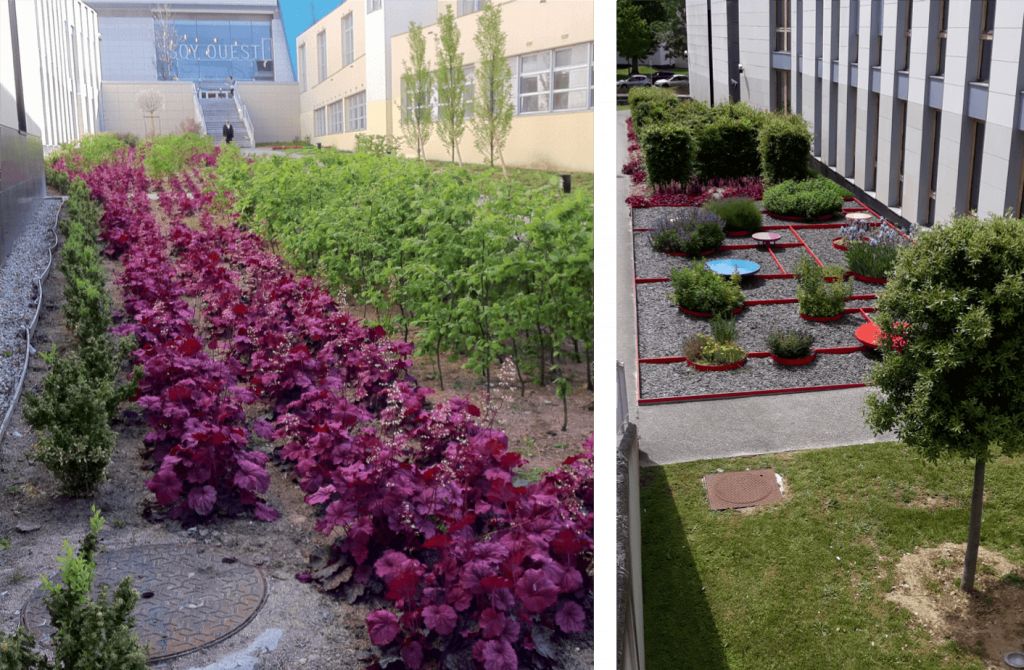 SEM, Gestion différenciée, Faculté de médecine à Saint-Quentin-en-Yvelines - 1.png