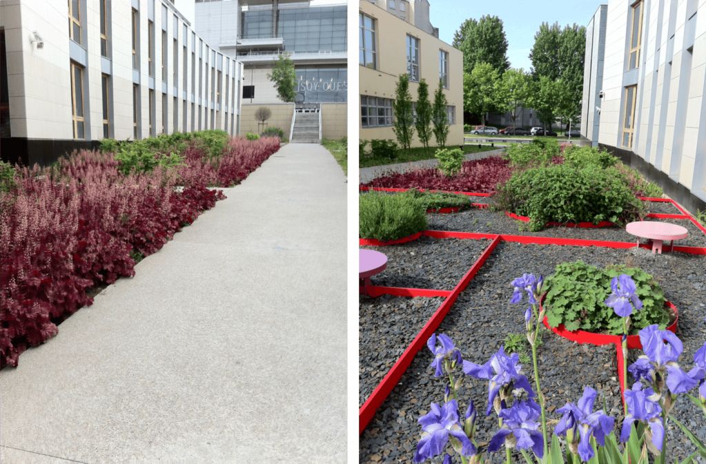 SEM, Gestion différenciée, Faculté de médecine à Saint-Quentin-en-Yvelines - 2.png