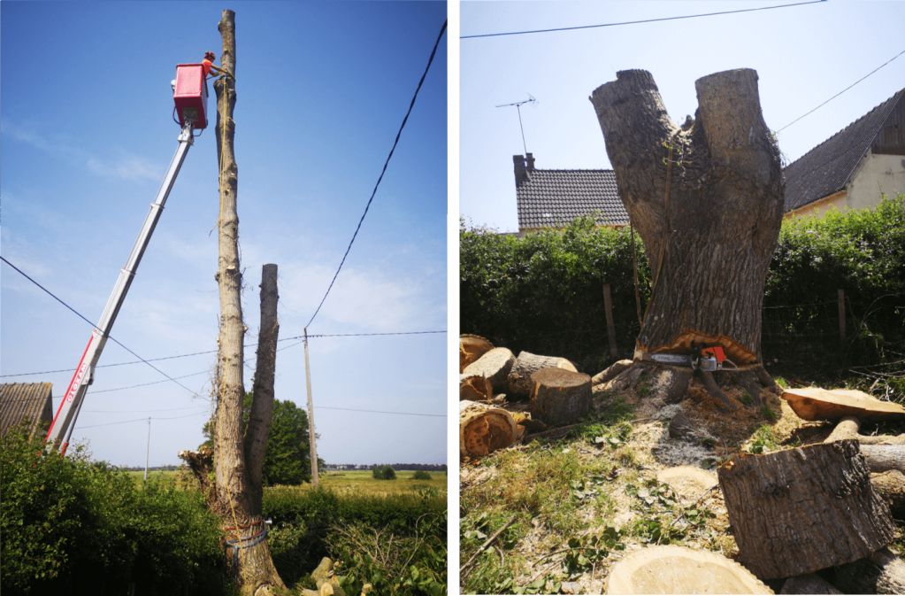 Saint Lô, Abattage arbre à risque ENEDIS, Graignes - 3.png