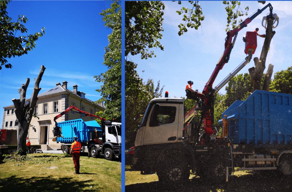 Saint Lô, Démontage Tilleul, Cherbourg - 2.png