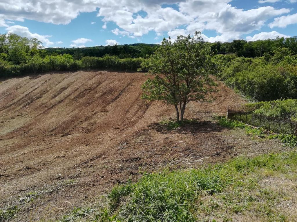 Lyon, Débroussaillage terrain  à bâtir, Charlieu - APRES.jpeg