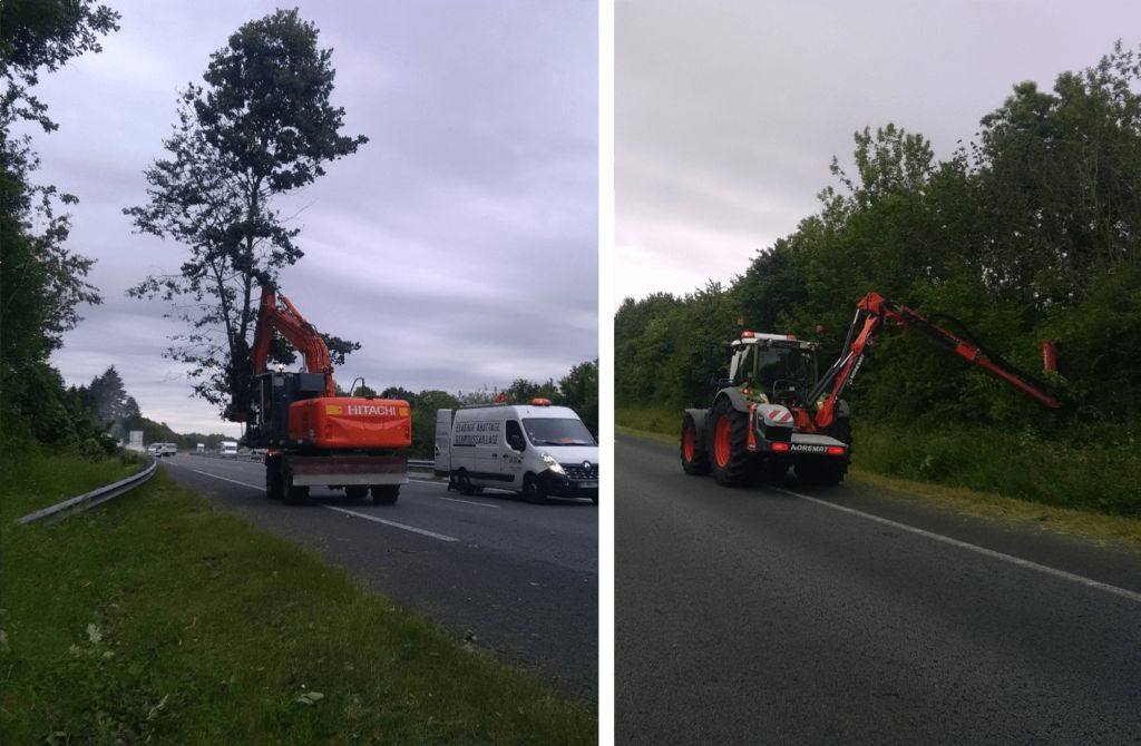 Rennes, Abattages et élagage en bord de route, DIRO - montage.png