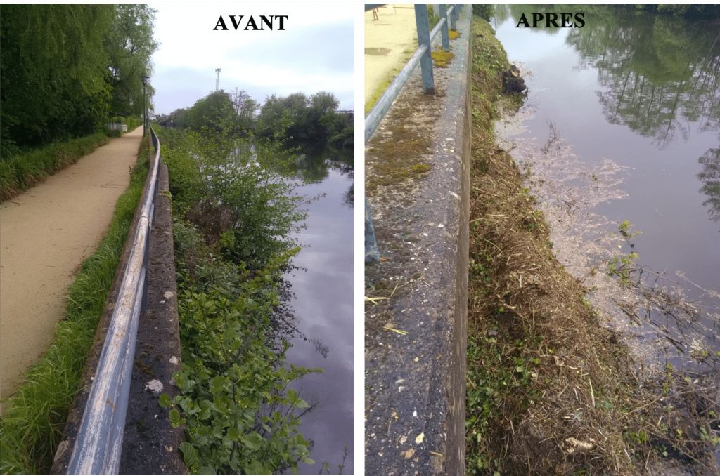 Rennes, Débroussaillage des perrés promenade des Bonnets rouges, Rennes - 2.png