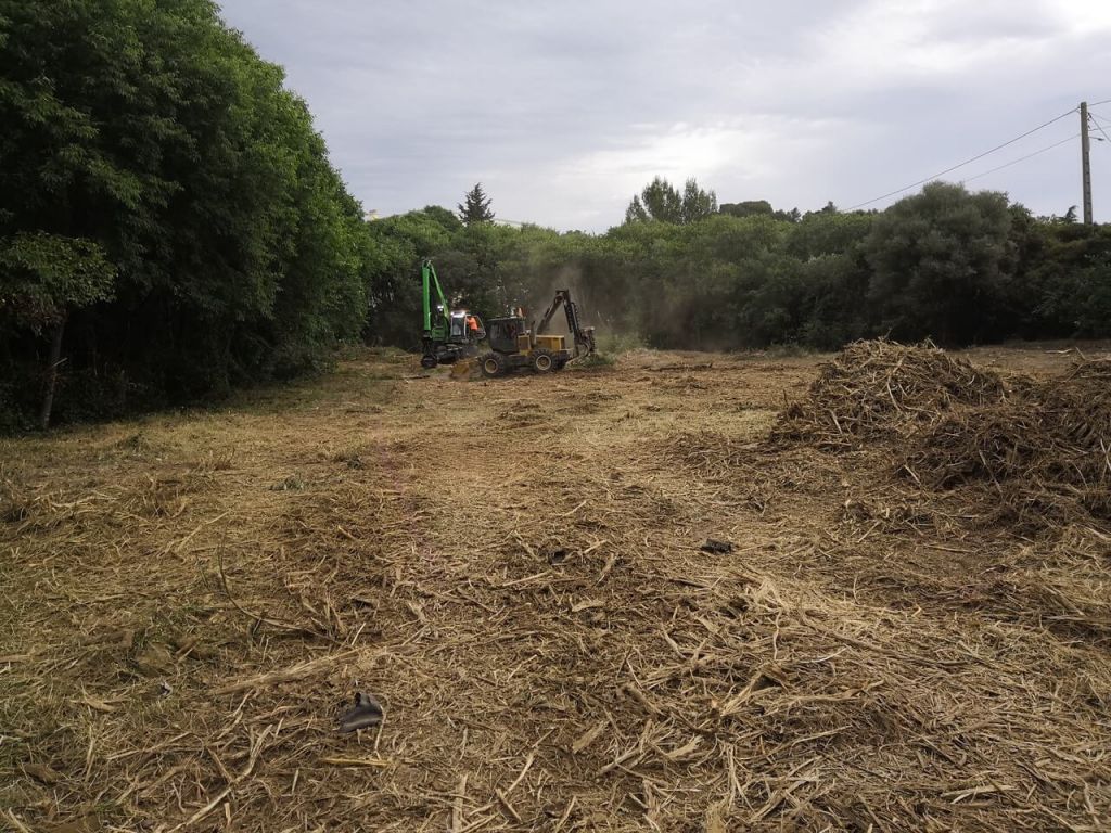 Montpellier, Mise à blanc parcelle boisée pour construction résidence, Nîmes - 1.jpeg