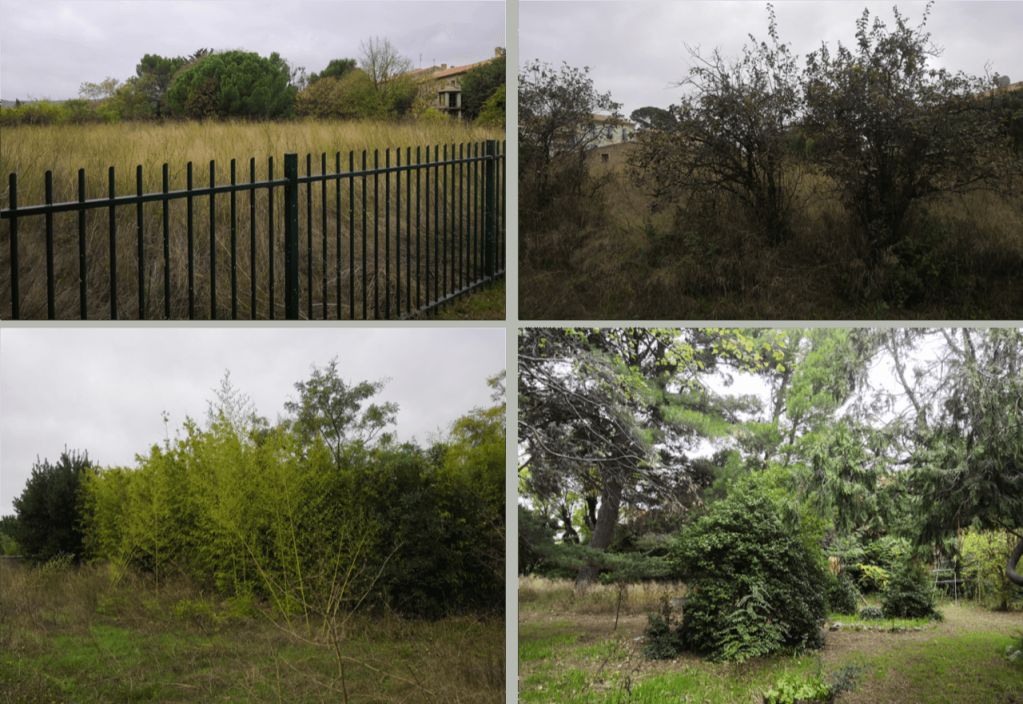 Montpellier, Débroussaillement et dégagement des emprises poru construction résidence, Poussan - Montage.png