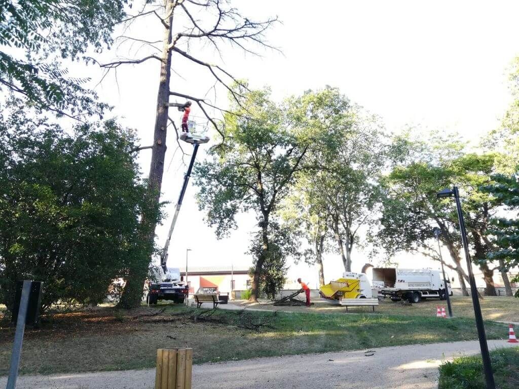 Toulouse, Travaux de mise en sécurité dans le parc, Mondonville.jpg