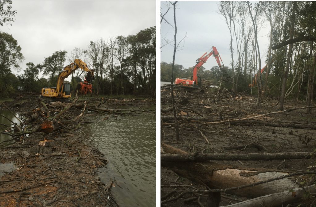 Abattage sélectif des arbres de la fosse de Sorges aux Ponts-de-Cé - 2.png