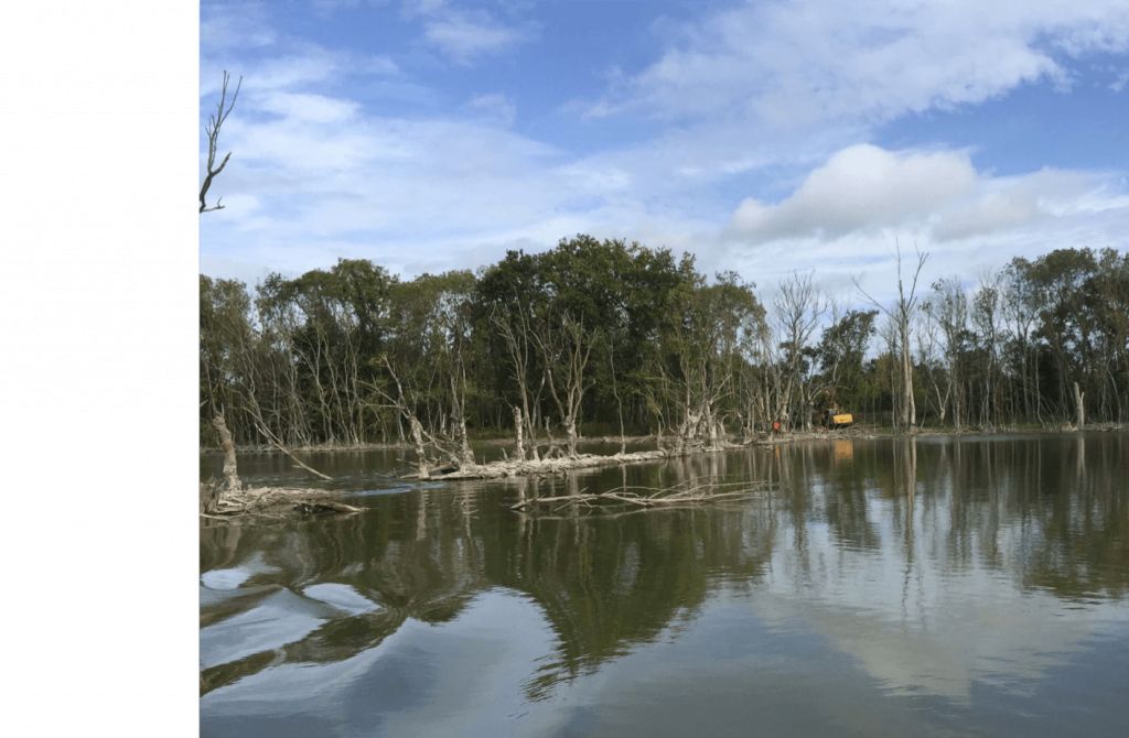 Abattage sélectif des arbres de la fosse de Sorges aux Ponts-de-Cé  - 4.png