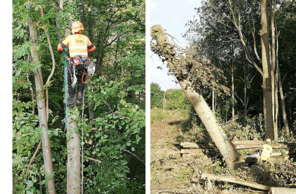 Paris, Mise en sécurité des voies SNCF, Maffliers - Travail.png