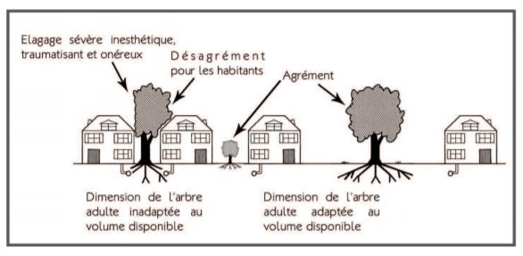 augustin_bonnardot_serpe_illustration_taille.png