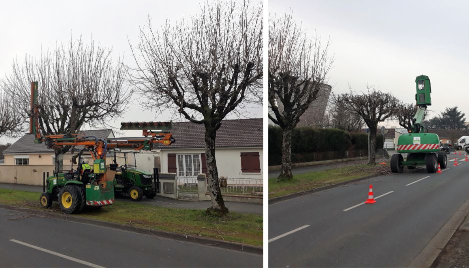 sem_espaces_verts_taille_architecturee_reduction_arbres_chateauroux_metropole.png