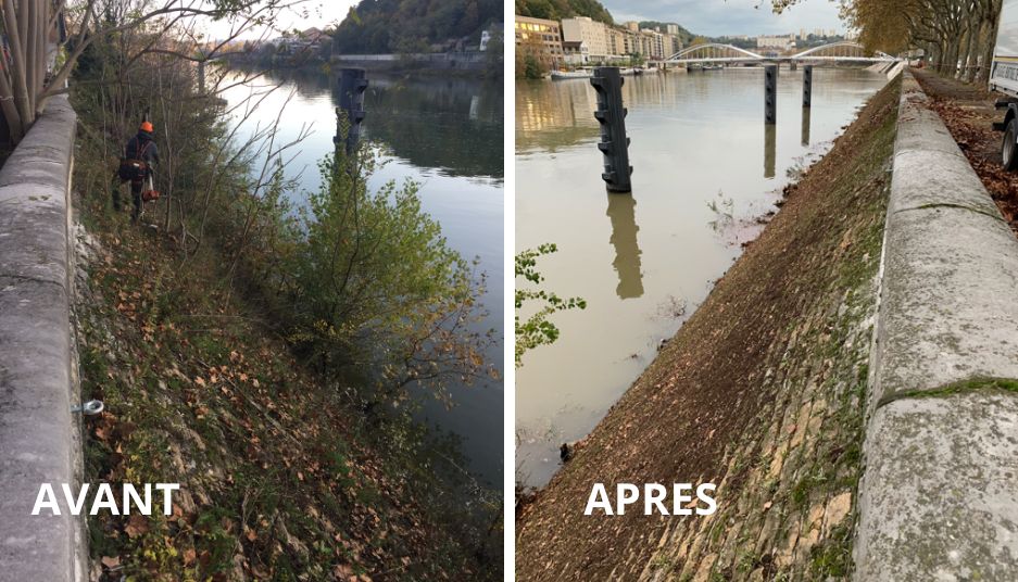 AV_ap_eiffage_lyon_serpe_rhone_alpes_debroussaillage_acrobatique.png