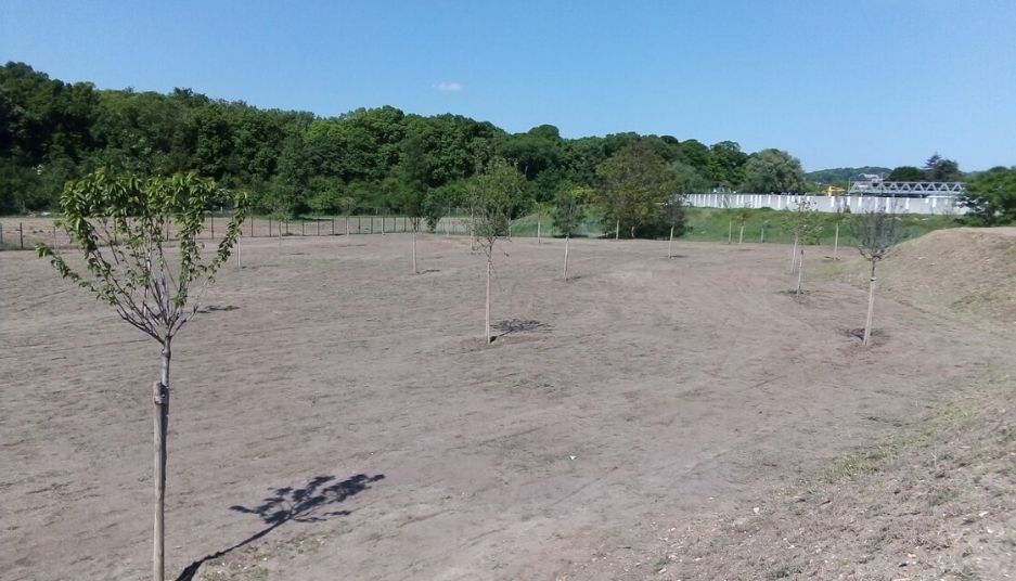 ile_de_france_engzaonnement_plantation_sem_espaces_verts.png