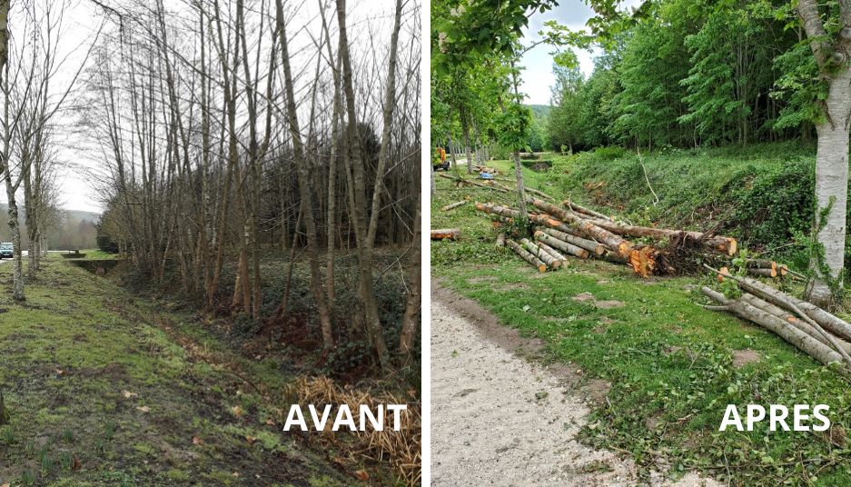 abattage_arbres_sains_morts_sem_espaces_verts_parc_chateau_dampierre.png