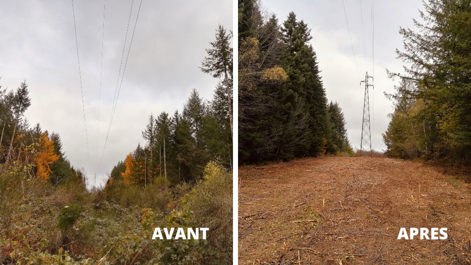 av_ap_chantier_serpe_toulouse_limousin_debroussaillage_abattage_elagage_entretien_vegetation.png