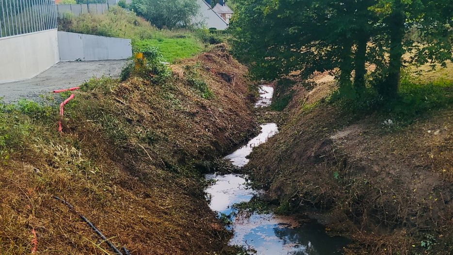 2020_09_serpe_rennes_debroussaillage_bassin_orage_retrait_vegetation.png