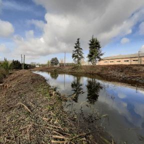 2020-11-serpe-toulouse-travaux-restaurations-patrimoine-arbore-elagage-abattage-demontage-dessouchage.png