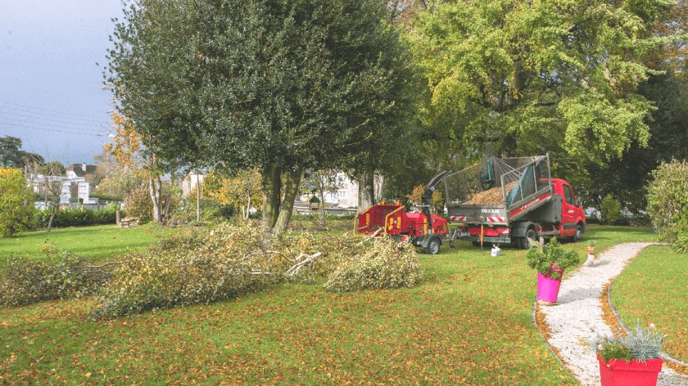 SERPE - Entretien d’un parc chez un particulier à Vire en Normandie 2.png