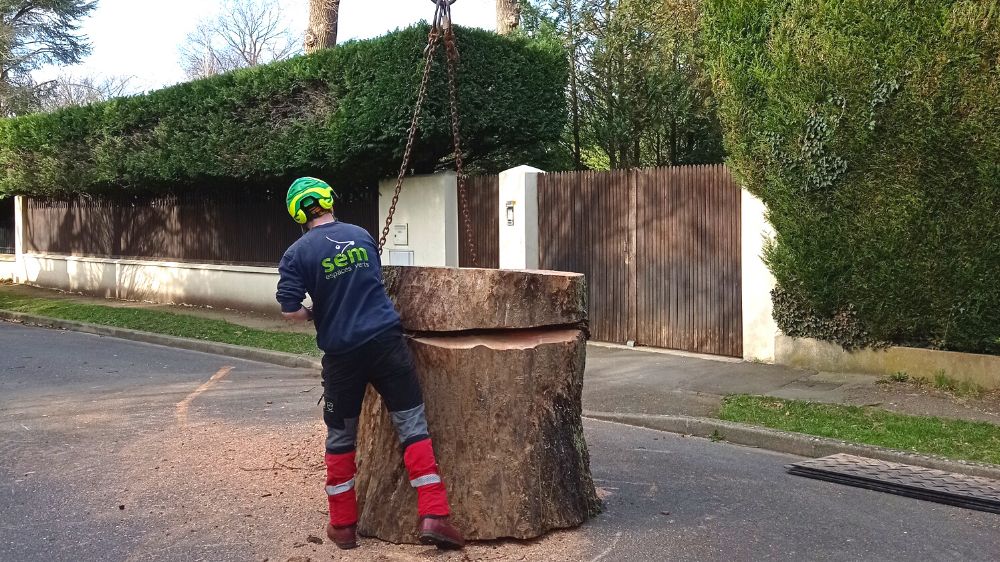 SEM - Démontage d'une frêne à l'aide d'une grue 2.png