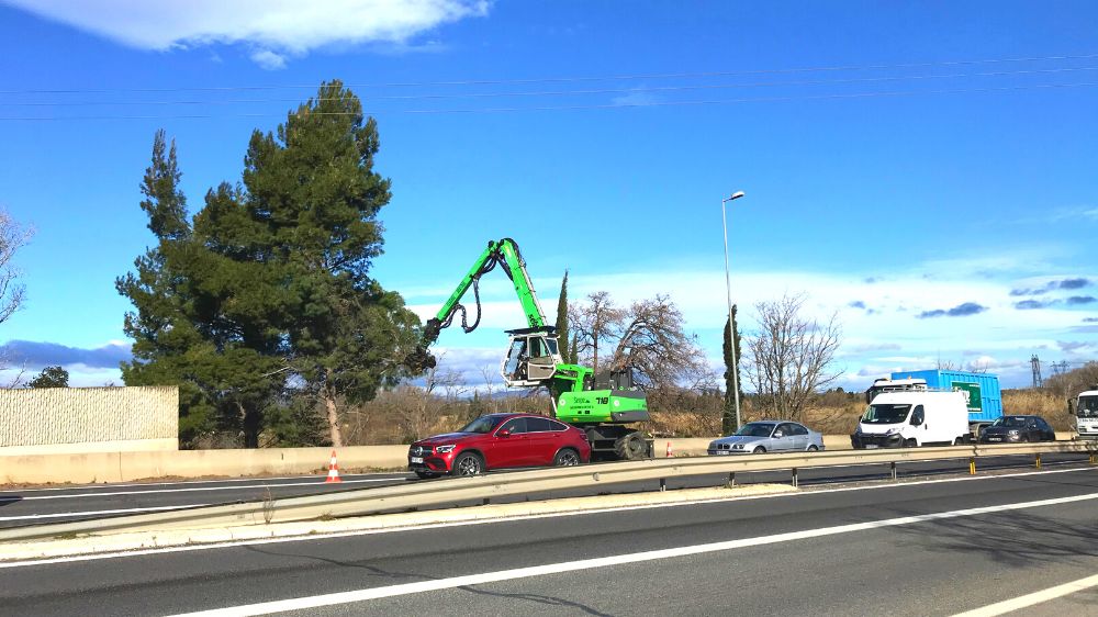 SERPE - Abattage de pins au bord de départementales à l'Ile sur Trêt 3.png