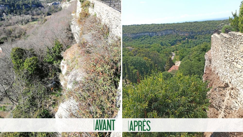 Serpe Avignon - Dévégétalisation mur en bordde falaise.png