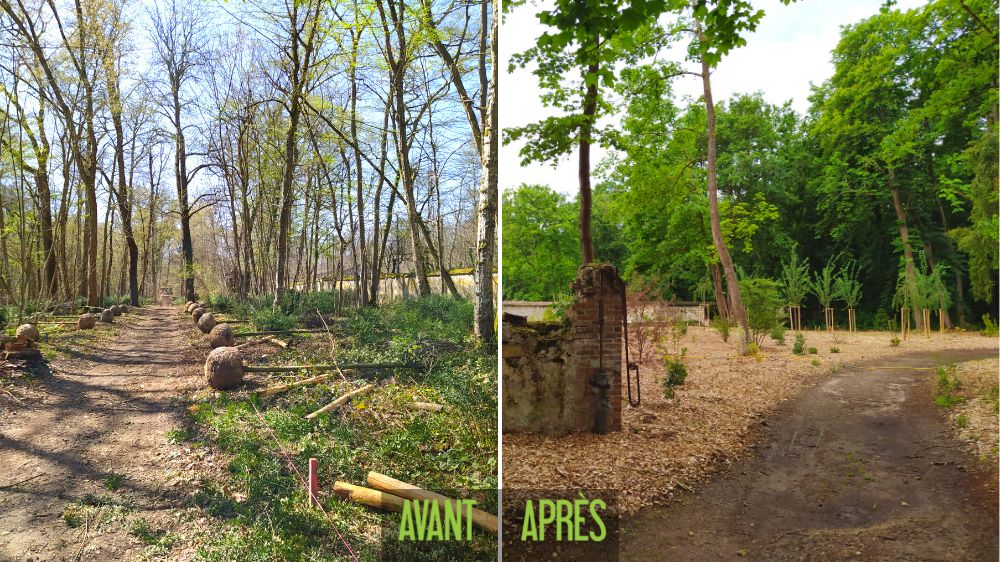 Réhabilitation des Jardins du Château de By, Versailles - SEM Espaces Verts.png