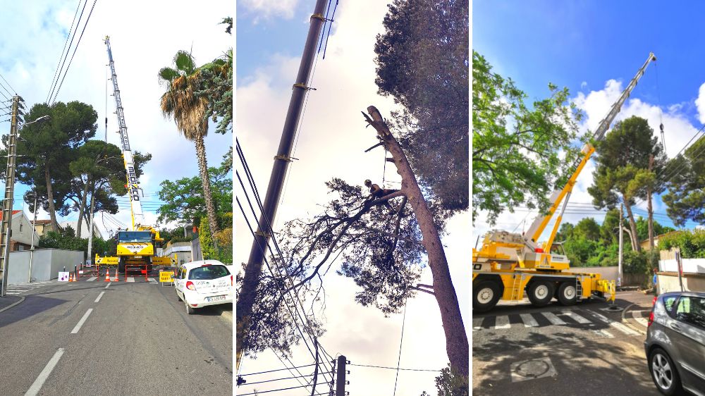 SERPE Montpellier - Démontage de pins par grutage.png