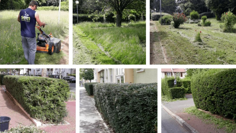 SEM Espaces Verts - Remise en état et taille de haies d'un jardin.png