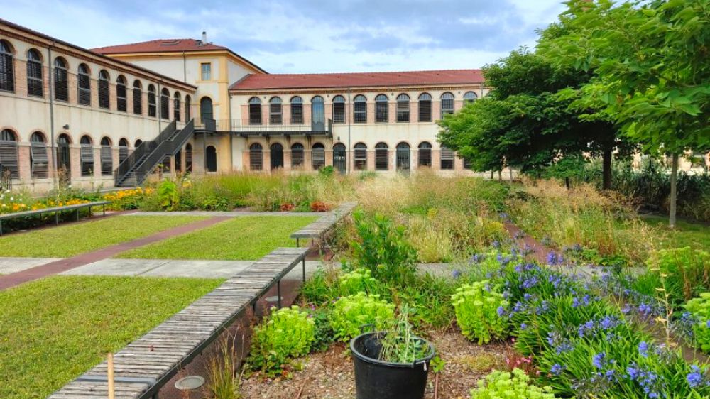 Agence Serpe Valence - Entretien des jardins haut de la cartoucherie à Bourg les Valence.png.png