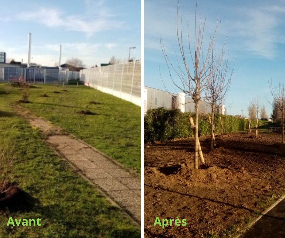 SEM Espaces Verts - plantation espaces verts clayes sous bois yvelines AVANT après.png