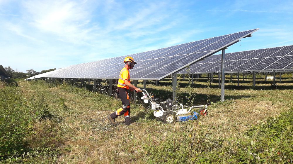 Serpe Manot - Débroussaillage manuel sous-table et inter-table d'un champ photovoltaïque 1.png