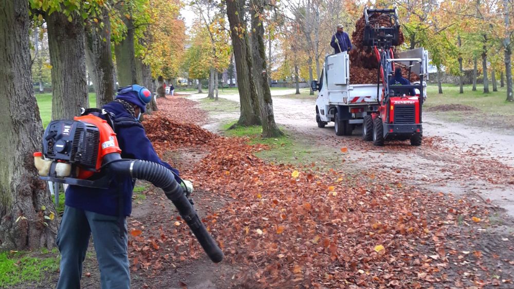 Serpe - Ramassage de feuilles.png