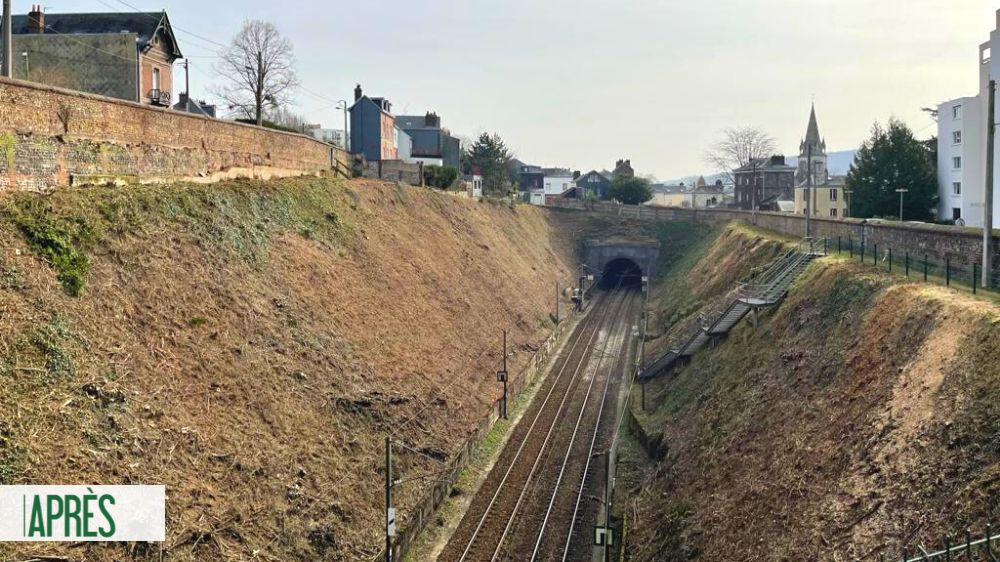 Serpe Limoges - Débroussaillage et abattage encordé tunnel Beauvoisine Rouen 3.png